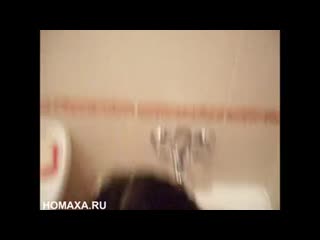 gently sucks and licks her husband's testicles in the bathroom
